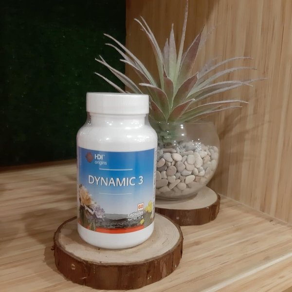 Dynamic 3